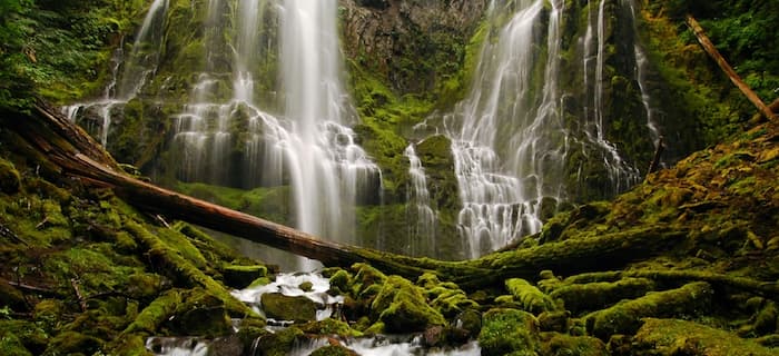  Proxy Falls