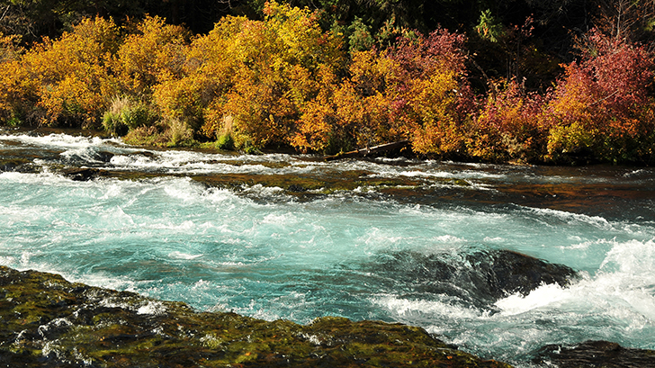 Metolius River